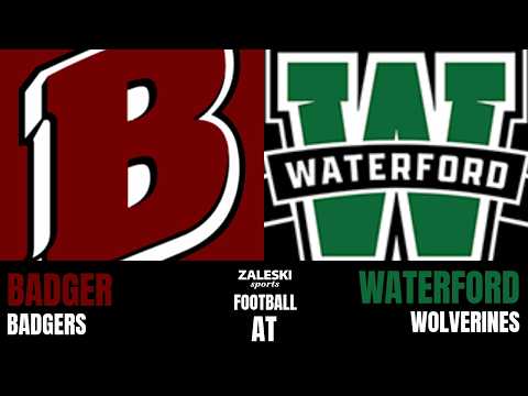 Badger at Waterford